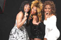 The Divas Cabaret and Wedding Singers